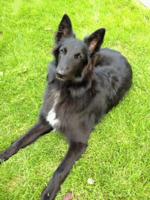 Cheyna de Geracao nova